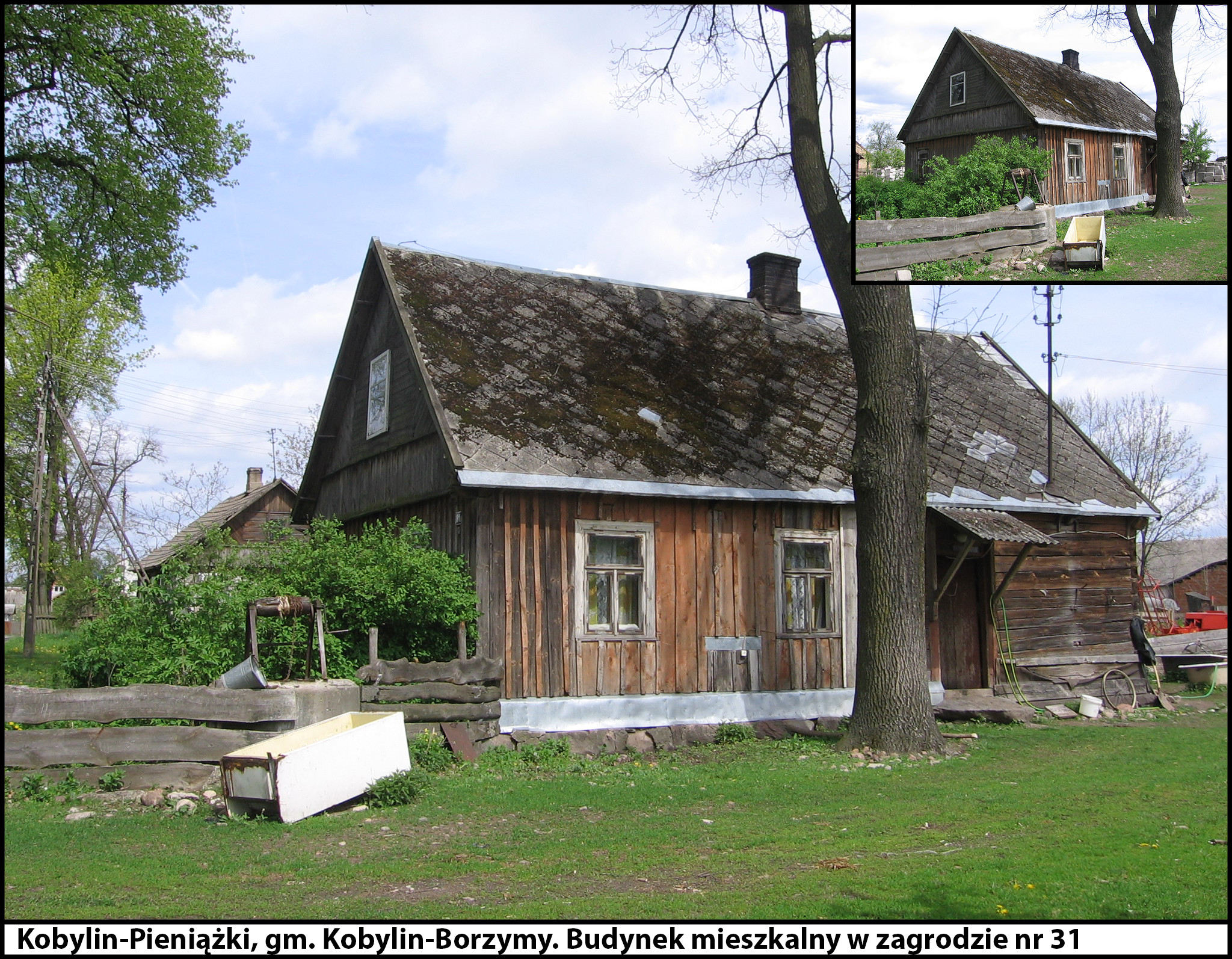 - kobylin_pieniazki_31.jpg
