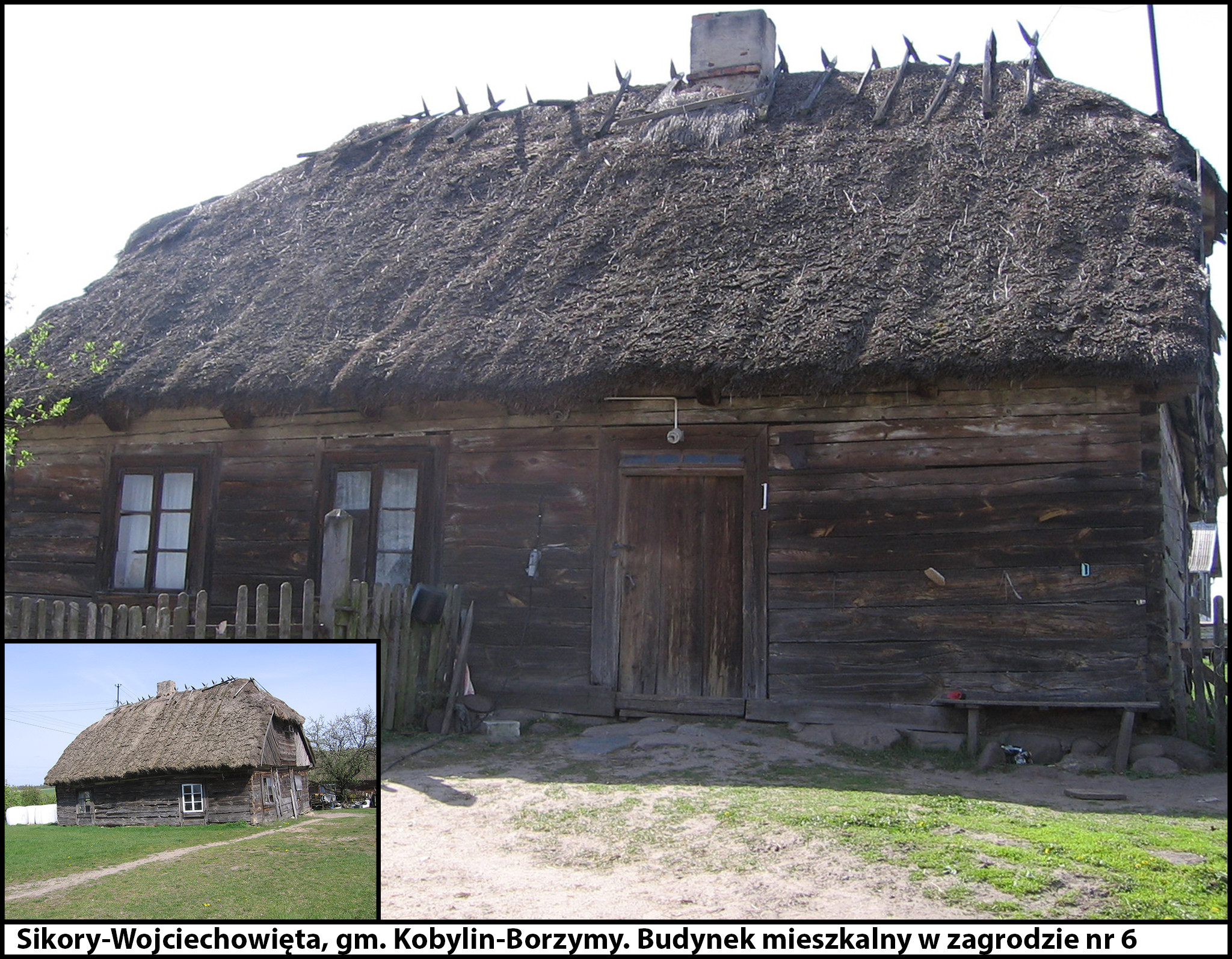 - wojciechowieta_6.jpg